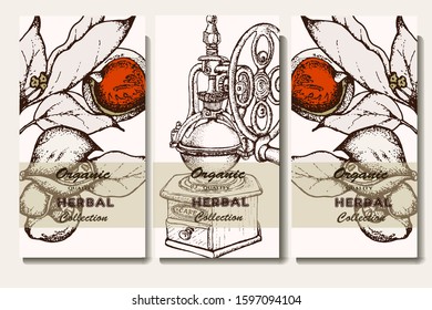 Vector illustration. Hand drawn banner. Branch, coffee maker