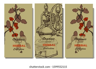 Vector illustration. Hand drawn banner. Branch, coffee maker