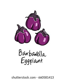 Vector illustration of hand drawn Barbarella eggplants. Cool vegetable print, beautiful design elements