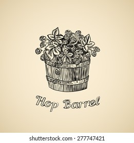 Vector illustration of hand drawn barrel of hop - engraved illustration style detailed drawing for brewing and harvesting theme