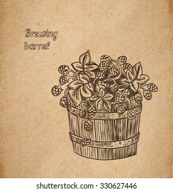 Vector illustration of hand drawn barrel of hop - engraved illustration style detailed drawing for brewing and harvesting theme