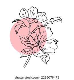 Vector illustration hand drawn beautiful flower with pink spot, line art