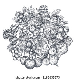 Vector illustration of hand drawn vector berries. Sketch style. Beautiful organic bouquet composition. Strawberry, cherry, raspberry, gooseberry, blackberry, cloudberry cranberry blueberry