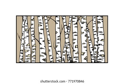 Vector illustration of hand drawn birch tree trunks. Ink drawing, graphic style. Beautiful floral design elements.