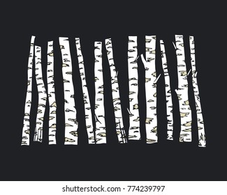 Vector illustration of hand drawn birch tree trunks. Ink drawing, graphic style. Beautiful floral design elements.