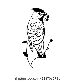 Pájaro dibujado a mano en la ilustración del vector sentado en una rama, arte de línea
