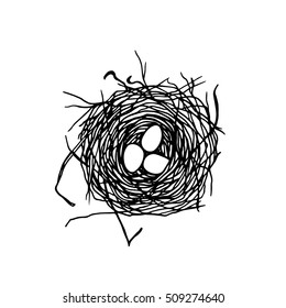 Vector illustration of hand drawn bird nest with three eggs. Graphic style, beautiful illustration