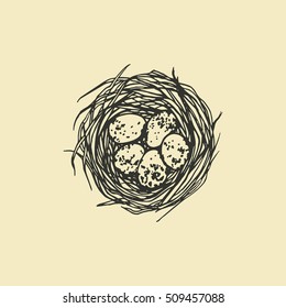 Vector illustration of hand drawn bird nest with spotted eggs. Graphic style, beautiful illustration