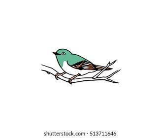 Vector illustration of hand drawn bird sitting on a branch. Ink drawing, graphic style.