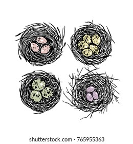 Vector illustration of hand drawn bird nests with colorful eggs. Beautiful design elements.