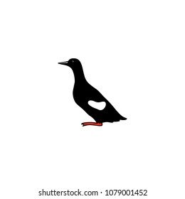 Vector illustration of hand drawn black guillemot. Beautiful animal design elements, ink drawing.