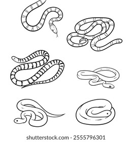 Vector illustration of hand drawn black and white snake isolated on white background