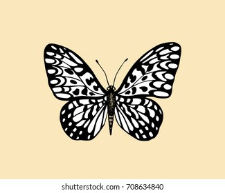 Vector illustration of hand drawn black and white butterfly. Ink drawing, graphic style. Beautiful design elements. Vintage style.