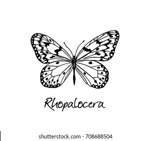 Vector illustration of hand drawn black and white butterfly. Ink drawing, graphic style. Beautiful design elements. Vintage style.