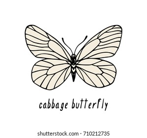 Vector illustration of hand drawn black and white butterfly. Ink drawing, graphic style. Beautiful design elements. Vintage style.