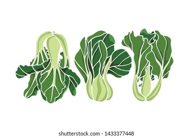 Vector illustration of hand drawn bok choy. Ink drawing, beautiful vegetarian design elements.