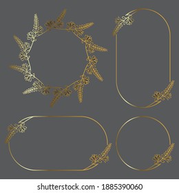 Ilustración vectorial de la plantilla de fondo de borde de marco botánico dibujado a mano, correa, círculo, retrato y paisaje para bodas, saludo, menú, tarjeta y otros