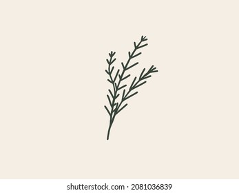 Vector illustration of a hand drawn branch isolated on pastel beige background
