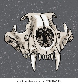 Vector illustration of a hand drawn broken lion skull. Isolated, on abstract gray background. 
