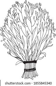 vector illustration of a hand drawn broom. Bunch of grass isolated on white background