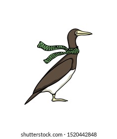 Vector illustration of hand drawn Brown Booby wearing green scarf on a windy day. Ink drawing, beautiful animal and nautical design elements.
