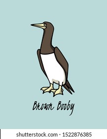 Vector illustration of hand drawn Brown Booby. Ink drawing, beautiful animal and nautical design elements.