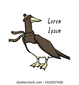 Vector illustration of hand drawn Brown Booby wearing green scarf on a windy day. Ink drawing, beautiful animal and nautical design elements.