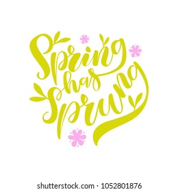 Vector illustration of hand drawn brush lettering quote Spring Has Sprung for card, print, poster, blog, banner, social media design