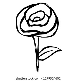 Vector Illustration Hand Drawn Brush of Rose Flower.