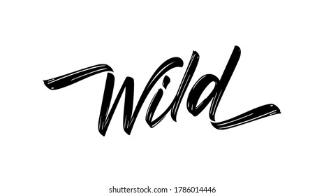 Vector illustration: Hand drawn brush calligraphic lettering of Wild on white background