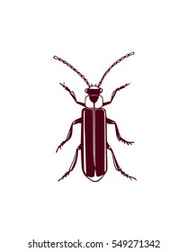 Vector illustration of hand drawn bug made in retro style. Beautiful ink drawing