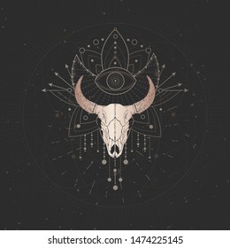 Vector Illustration Hand Drawn Bull Skull Stock Vector (Royalty Free ...