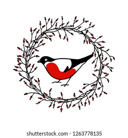 Vector illustration of hand drawn bullfinch in barberry wreath. Beautiful ink drawing, vector emblem