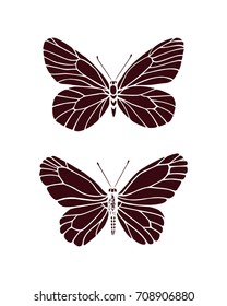 Vector illustration of hand drawn butterflies. Ink drawing, graphic style. Beautiful design elements. Vintage style.