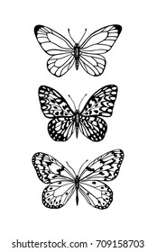 Beautiful Black Outline Vector Butterfly Illustration Stock Vector ...