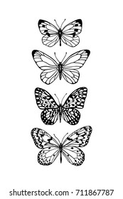 Vector illustration of hand drawn butterflies. Ink drawing, graphic style. Beautiful design elements. Vintage style.