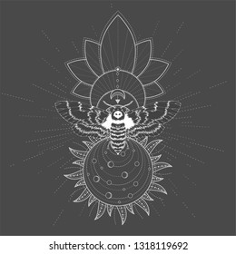 Vector illustration with hand drawn butterfly Dead head and Sacred symbol on black background. Abstract mystic sign. White linear shape. For you design, tattoo or magic craft.