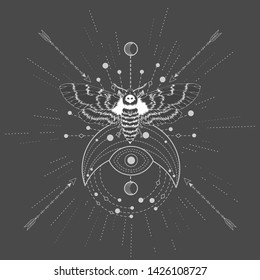 Vector illustration with hand drawn butterfly Dead head and Sacred symbol on black background. Abstract mystic sign. White linear shape. For you design, tattoo or magic craft.