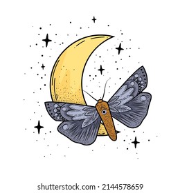 Vector illustration with hand drawn butterfly and Sacred geometric symbol on white background. Abstract mystic sign.