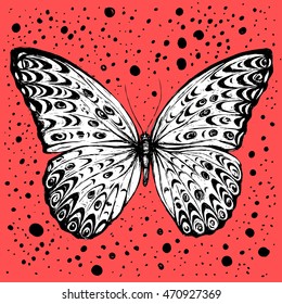 Vector illustration with hand drawn butterfly.