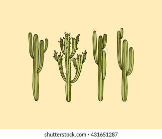 Vector Illustration Of Hand Drawn Cactus. Beautiful Floral Drawing.