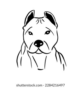 Vector illustration hand drawn Cane Corso with black lines