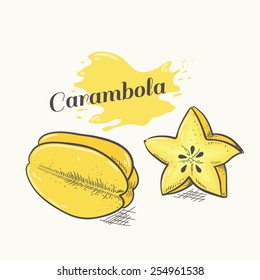 Vector illustration of hand drawn carambola