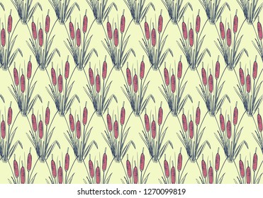 Vector illustration of hand drawn cattails background