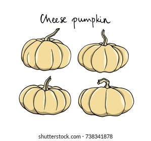 Vector illustration of hand drawn cheese pumpkins. Ink drawing, beautiful vegetarian design elements.