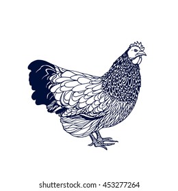 Vector illustration of hand drawn chicken. Beautiful ink drawing, perfect design elements for farming. 