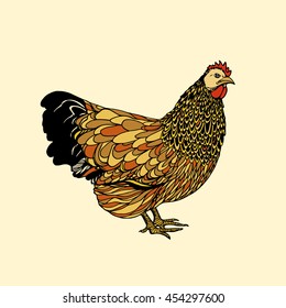 Vector illustration of hand drawn chicken. Beautiful ink drawing, perfect design elements for farming. 