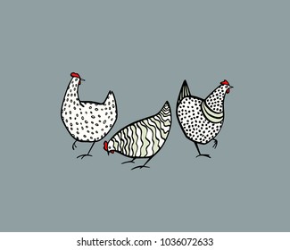 Vector illustration of hand drawn chickens. Beautiful ink drawing, heavy contour, abstract design elements. Perfect elements for food or farming design.