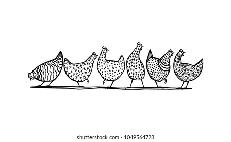 Vector illustration of hand drawn chickens. Beautiful ink drawing, heavy contour, abstract design elements. Perfect elements for food or farming design.