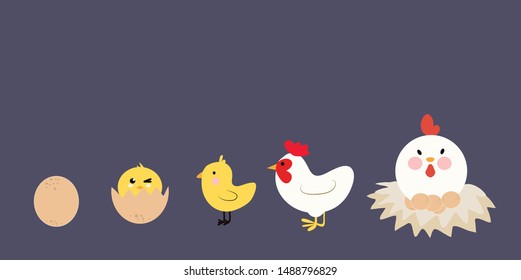 Vector illustration of hand drawn chickens.